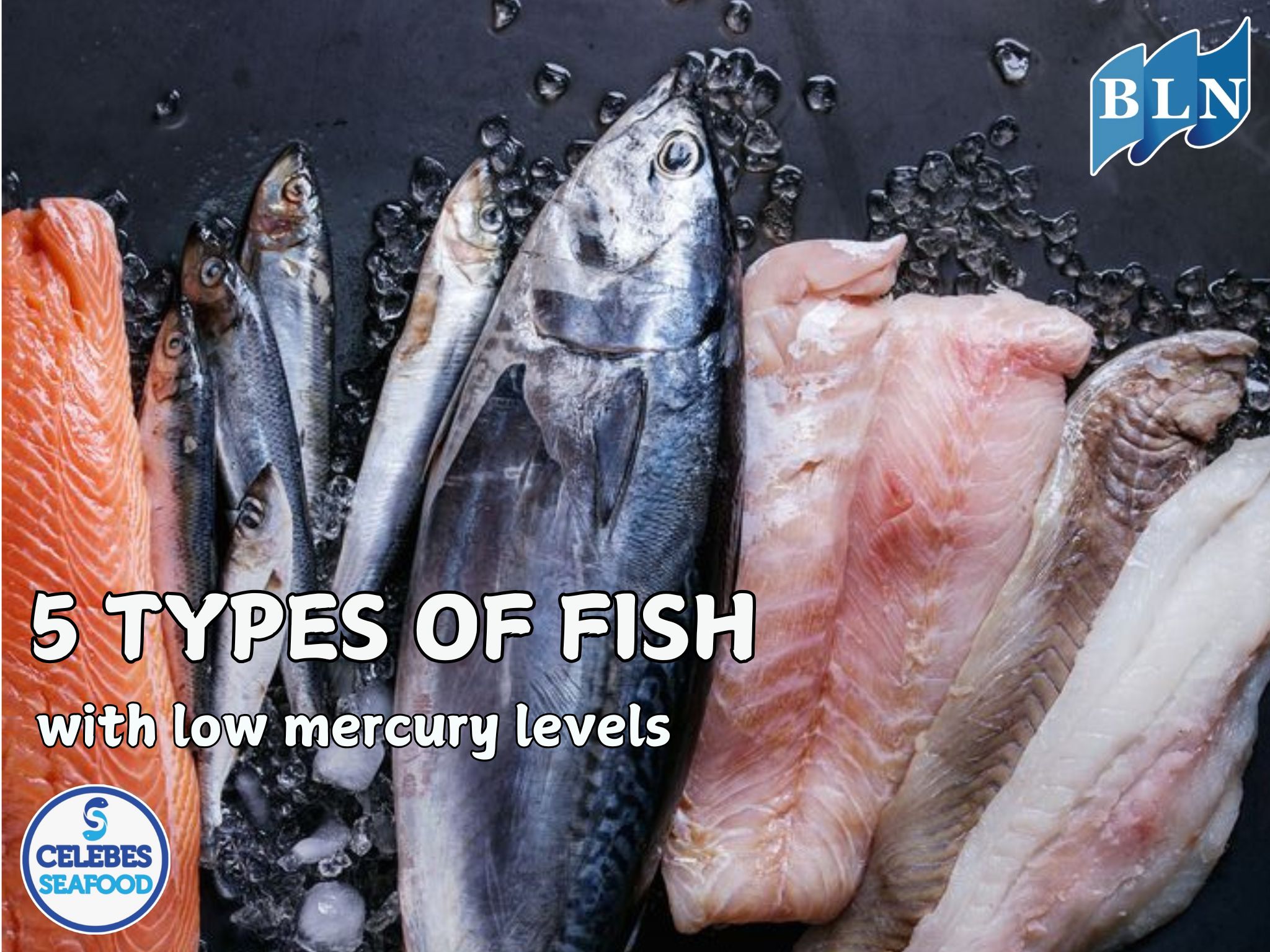 5 Types of Fish with Low Mercury Levels